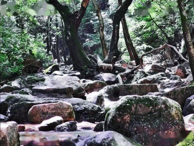渣渣辉传奇